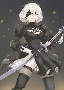 Collection - 2B - Photo #103