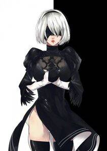 Collection - 2B - Photo #107