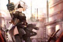 Collection - 2B - Photo #109