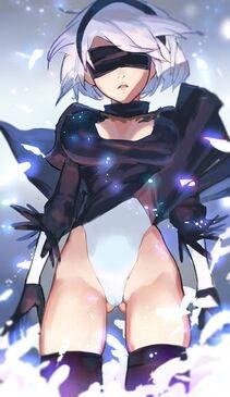 Collection - 2B - Photo #113