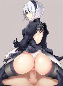 Collection - 2B - Photo #124