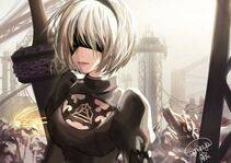 Collection - 2B - Photo #128