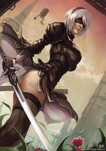 Collection - 2B - Photo #133