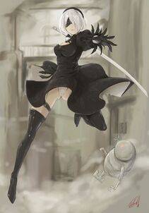 Collection - 2B - Photo #150