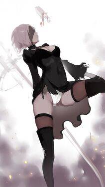 Collection - 2B - Photo #160