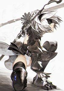 Collection - 2B - Photo #164