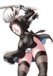 Collection - 2B - Photo #165