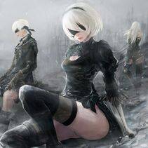 Collection - 2B - Photo #178