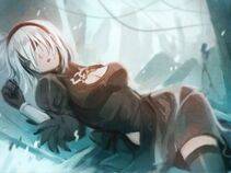 Collection - 2B - Photo #200