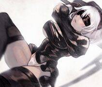 Collection - 2B - Photo #215
