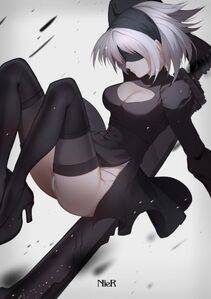 Collection - 2B - Photo #219