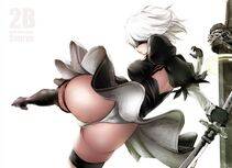 Collection - 2B - Photo #221