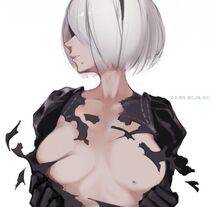 Collection - 2B - Photo #231