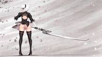 Collection - 2B - Photo #250