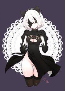 Collection - 2B - Photo #260