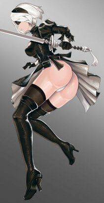 Collection - 2B - Photo #284