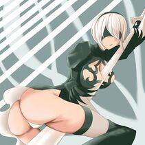 Collection - 2B - Photo #288