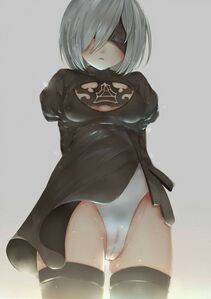 Collection - 2B - Photo #293