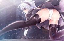 Collection - 2B - Photo #301