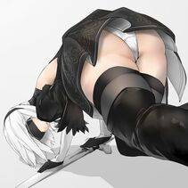 Collection - 2B - Photo #315