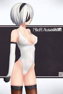 Collection - 2B - Photo #320