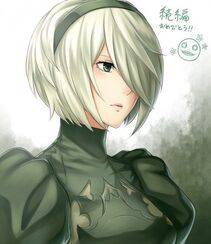 Collection - 2B - Photo #322