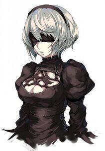 Collection - 2B - Photo #333