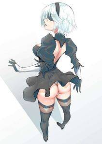 Collection - 2B - Photo #367