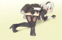 Collection - 2B - Photo #374