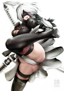 Collection - 2B - Photo #378