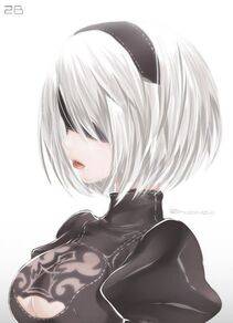 Collection - 2B - Photo #396