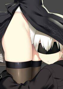 Collection - 2B - Photo #398