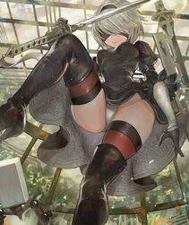 Collection - 2B - Photo #407