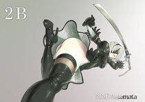 Collection - 2B - Photo #422