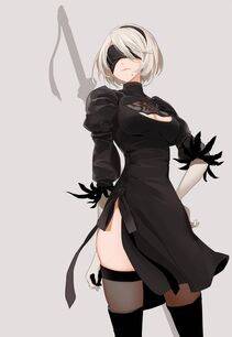 Collection - 2B - Photo #427