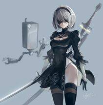 Collection - 2B - Photo #443
