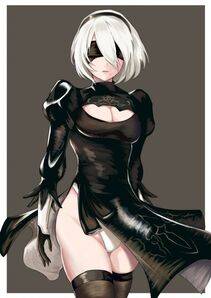Collection - 2B - Photo #447