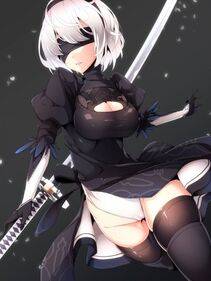 Collection - 2B - Photo #454