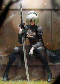 Collection - 2B - Photo #507