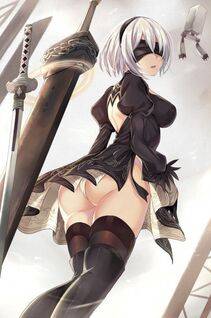 Collection - 2B - Photo #546