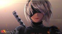Collection - 2B - Photo #556