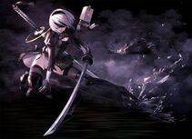 Collection - 2B - Photo #576
