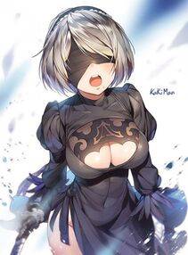 Collection - 2B - Photo #600