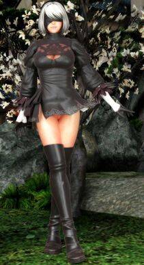 Collection - 2B - Photo #648