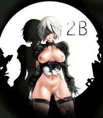 Collection - 2B - Photo #654