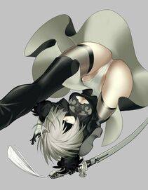 Collection - 2B - Photo #679