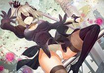 Collection - 2B - Photo #702