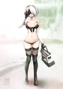 Collection - 2B - Photo #718