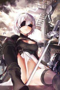 Collection - 2B - Photo #720