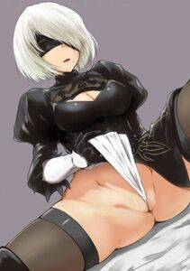 Collection - 2B - Photo #721